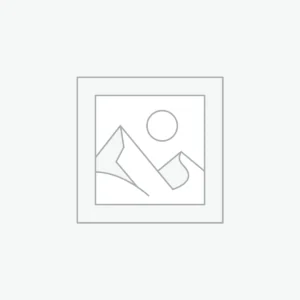 Maroon Heritage Saree